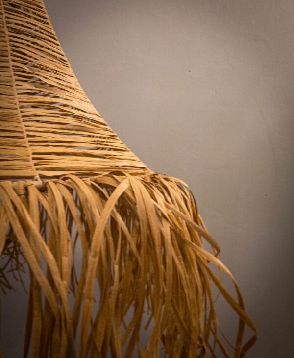 Amelia camel - Imagen 3