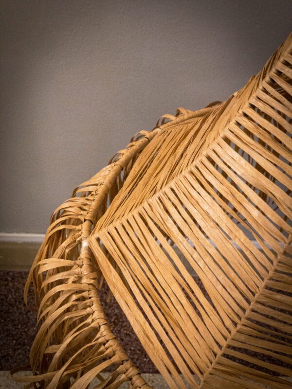 Amelia camel - Imagen 4