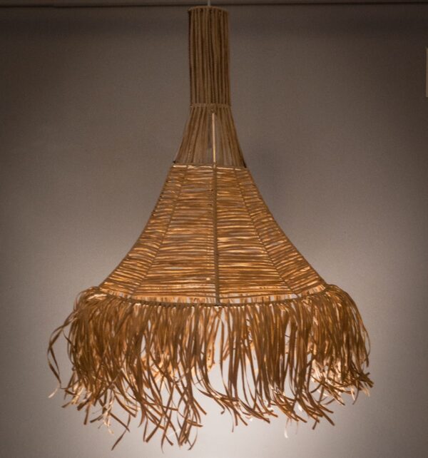 Amelia camel - Imagen 2