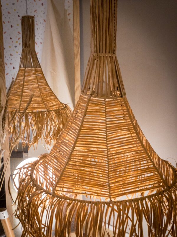 Amelia camel - Imagen 5