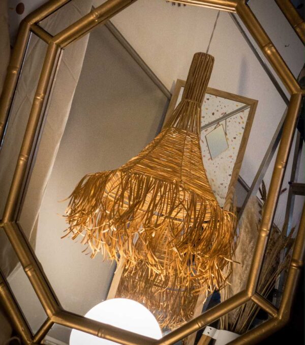 Amelia camel - Imagen 6