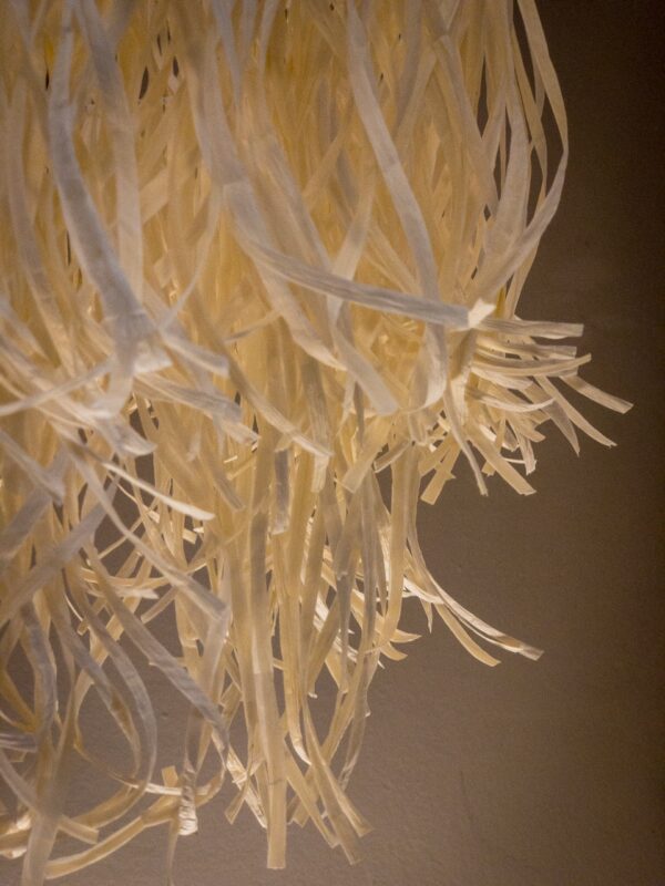 Mane Natural - Imagen 2