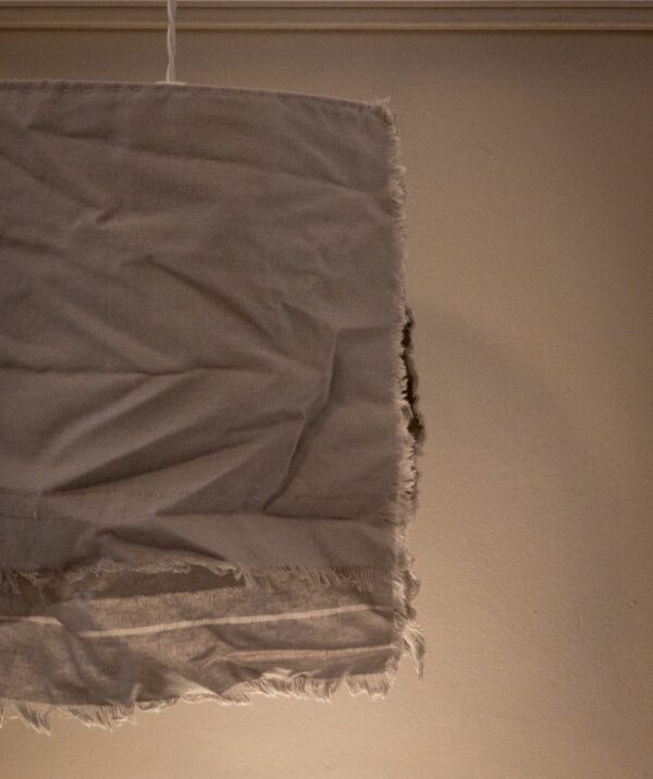 Benicio gris - Imagen 2