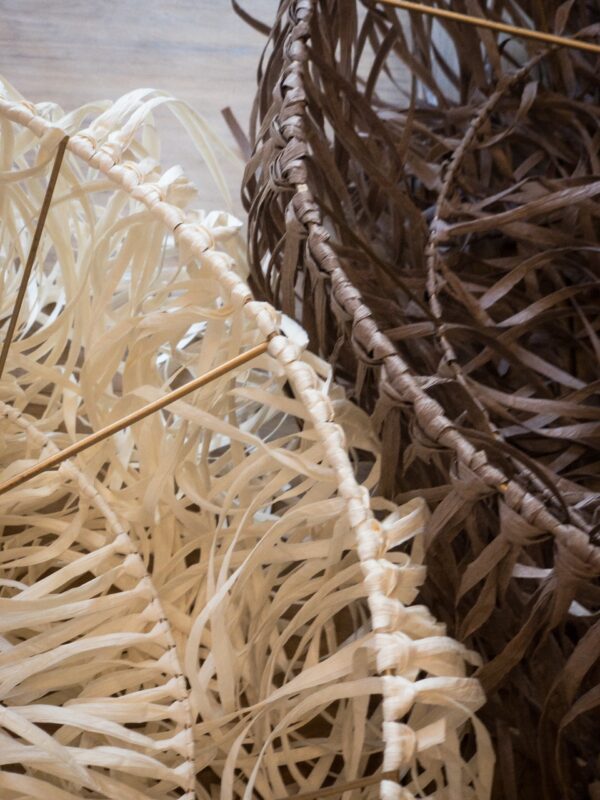 Mane Natural - Imagen 5